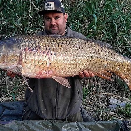 R U Ready Fishing, River Ebro Мекиненса Экстерьер фото