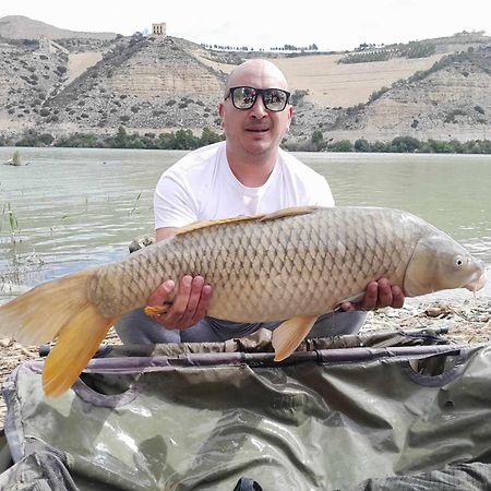 R U Ready Fishing, River Ebro Мекиненса Экстерьер фото