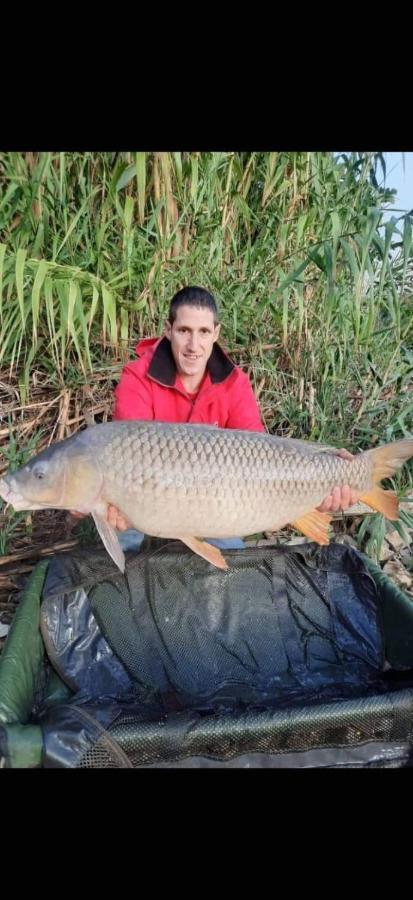 R U Ready Fishing, River Ebro Мекиненса Экстерьер фото