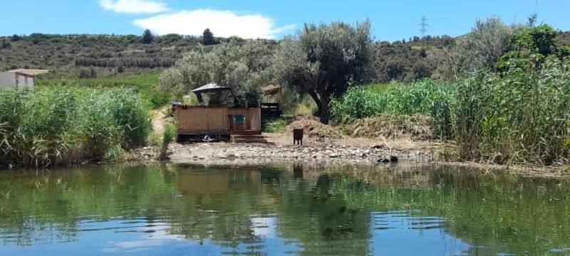 R U Ready Fishing, River Ebro Мекиненса Экстерьер фото