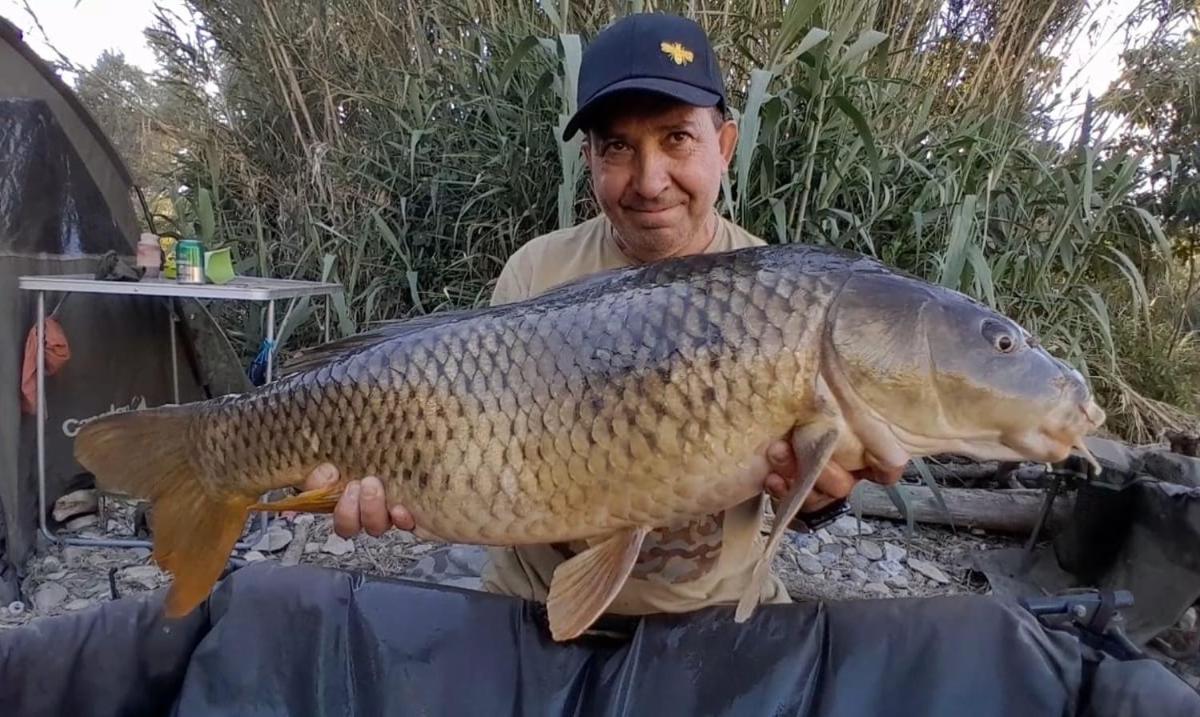 R U Ready Fishing, River Ebro Мекиненса Экстерьер фото